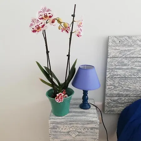 Le Torrette Di Anna - Tropea Briatico