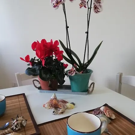 Apartamento Le Torrette Di Anna - Tropea *